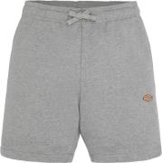 Dickies Youth Mapleton Sweatshort Heather Gray