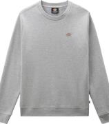 Dickies Men's Oakport Sweatshirt Heather Grey