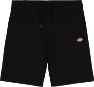 Dickies Men's Mapleton Short Black