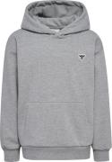 Hummel Kids' Hmljr Loose Hoodie Bee Grey Melange
