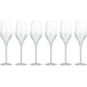 Aida Passion Connoisseur Champagneglas 6 st