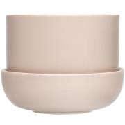 Iittala Nappula Kruka Med Fat 170x130 mm, Beige