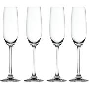 Spiegelau Salute champagneglas 21 cl, 4-pack