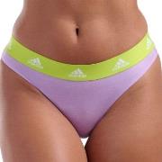 adidas Trosor 3P Sport Cotton Logo Thong Lila/Svart bomull Small Dam