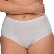 Trofe Sanna High Waist Maxi Brief Trosor Benvit Small Dam