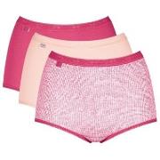 Sloggi Trosor 3P Basic Plus Maxi Colored Flerfärgad-2 bomull 38 Dam