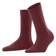 Falke Strumpor Women Softmerino Bordeaux Strl 35/36 Dam