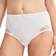 Calida Trosor Desire Midi Brief Vit bomull Small Dam