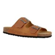 Axelda Andrea Kamel Strl 36