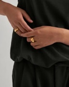 Pilgrim - Guld - Harrison Rings 2-in-1