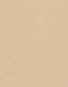 Pieces - Beige - Pcnamee Shorts Noos