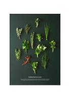 Køkkenhavens Urter Home Decoration Posters & Frames Posters Botanical ...