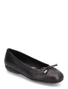 D Annytah D Ballerinaskor Ballerinas Black GEOX