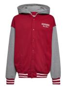 Kids Boys Sweatshirts Bomberjacka Red Abercrombie & Fitch