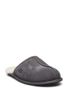 M Scuff Slippers Tofflor Grey UGG
