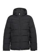 Puffer Jacket With Hood Fodrad Jacka Black Tom Tailor