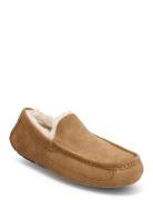 M Ascot Slippers Tofflor UGG
