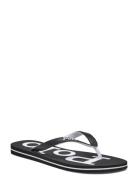 Eva-Bolt-Sn-Csl Flip Flops Sandaler Black Polo Ralph Lauren