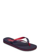 Eva-Bolt-Sn-Csl Flip Flops Sandaler Blue Polo Ralph Lauren