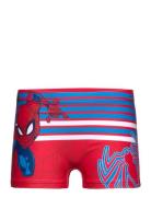 Swimsuit Badshorts Red Spider-man