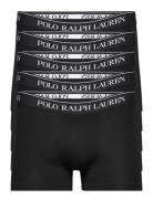 Bci Cotton/Elastane-5Pk-Trn Boxerkalsonger Black Polo Ralph Lauren Und...