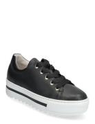 Sneaker Låga Sneakers Black Gabor