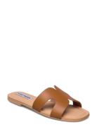 Zarnia Sandal Platta Sandaler Brown Steve Madden