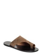 ATP Atelier Rosa Khaki Brown Suede Brun