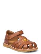 ANGULUS Sandals - Flat - Closed Toe - Brun