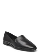 Veadith2.0 Loafers Låga Skor Black ALDO