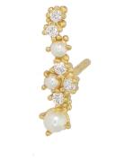 Stella-Left Accessories Jewellery Earrings Single Earring Gold Nuni Co...