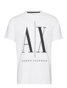 Armani Exchange T-Shirt Vit