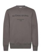 Borg Logo Crew Sport Sweat-shirts & Hoodies Sweat-shirts Grey Björn Bo...