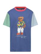 Polo Bear Color-Blocked Cotton Tee Tops T-shirts Short-sleeved Blue Ra...