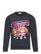 Nmfoditte Pawpatrol Sweat Bru Cplg Tops Sweat-shirts & Hoodies Sweat-s...