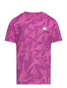 Lk Camlog Tee Sport T-shirts Short-sleeved Purple Adidas Performance
