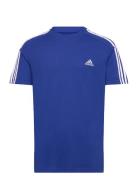Essentials Single Jersey 3-Stripes T-Shirt Sport T-shirts Short-sleeve...