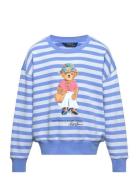 Polo Bear French Terry Sweatshirt Tops Sweat-shirts & Hoodies Sweat-sh...