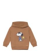 Snoopy Textured Sweatshirt Tops Sweat-shirts & Hoodies Hoodies Brown M...