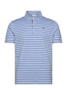 Silverst Polo Sport Polos Short-sleeved Blue Calvin Klein Golf