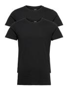 Rt Organic Cotton 2-Pack Tee Tops T-shirts Short-sleeved Black Resterö...