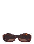 Celeste Tortoise Brown Solglasögon Brown Corlin Eyewear