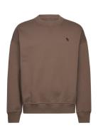 Abercrombie & Fitch Anf Mens Sweatshirts Brun