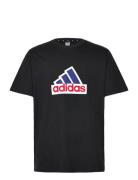 Adidas Sportswear M Fi Bos T Oly Svart