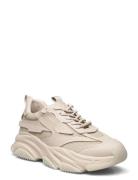 Possess Sneaker Låga Sneakers Beige Steve Madden