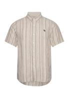 Abercrombie & Fitch Anf Mens Wovens Beige