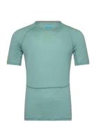 Men 125 Z Knit™ Ss Crewe Tops T-shirts Short-sleeved Green Icebreaker