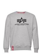Basic Sweater Designers Sweat-shirts & Hoodies Sweat-shirts Grey Alpha...