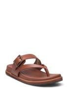 Sadie Flip Platta Sandaler Brown Kamik