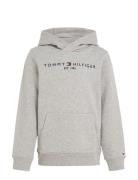 Essential Hoodie Tops Sweat-shirts & Hoodies Hoodies Grey Tommy Hilfig...